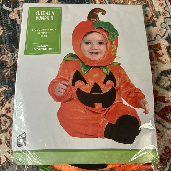 Cute as a Pumpkin Costume - Picture 1 of 1